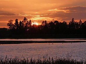 Doñana sunset from El Rocío © John Muddeman